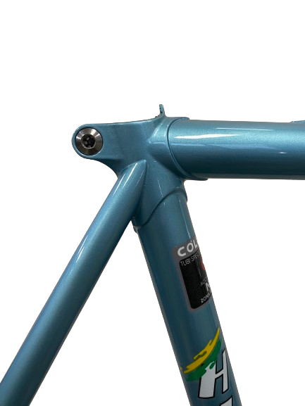 Hillbrick Nemo Lugged Frame and forks