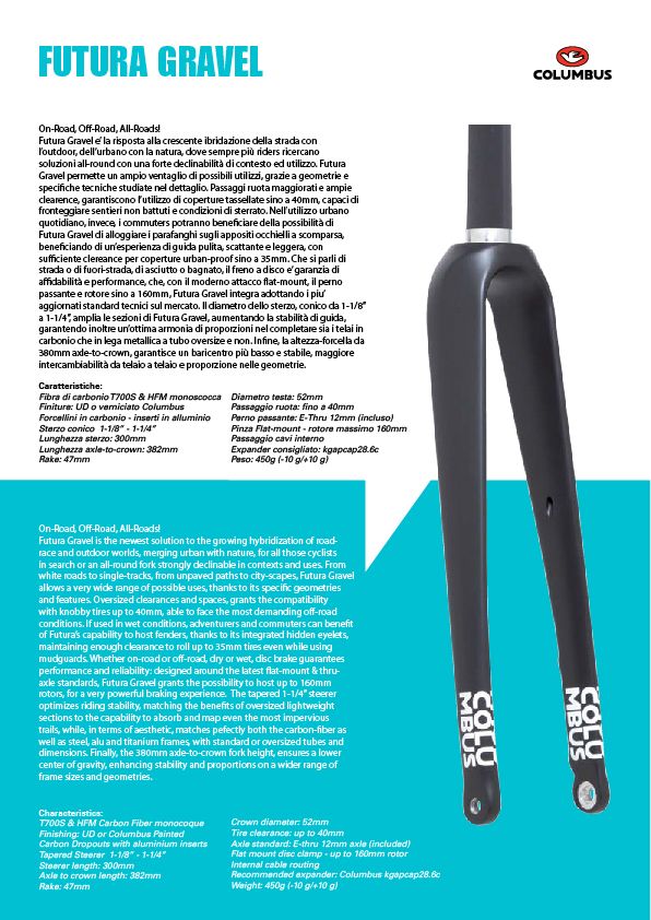 Columbus Futura Gravel PAINTED