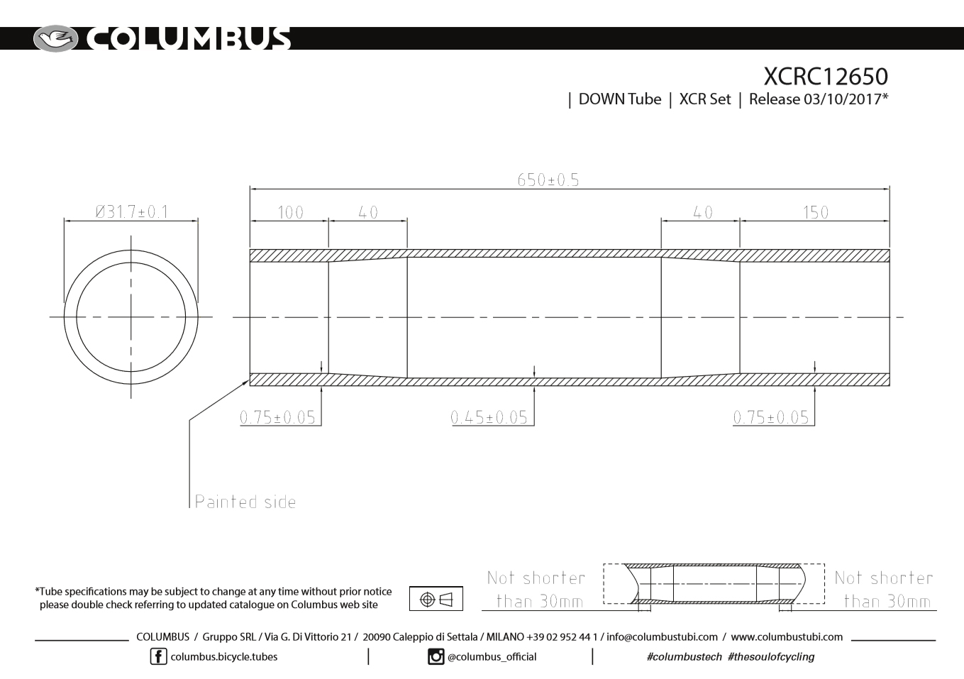 XCR Down Tube 